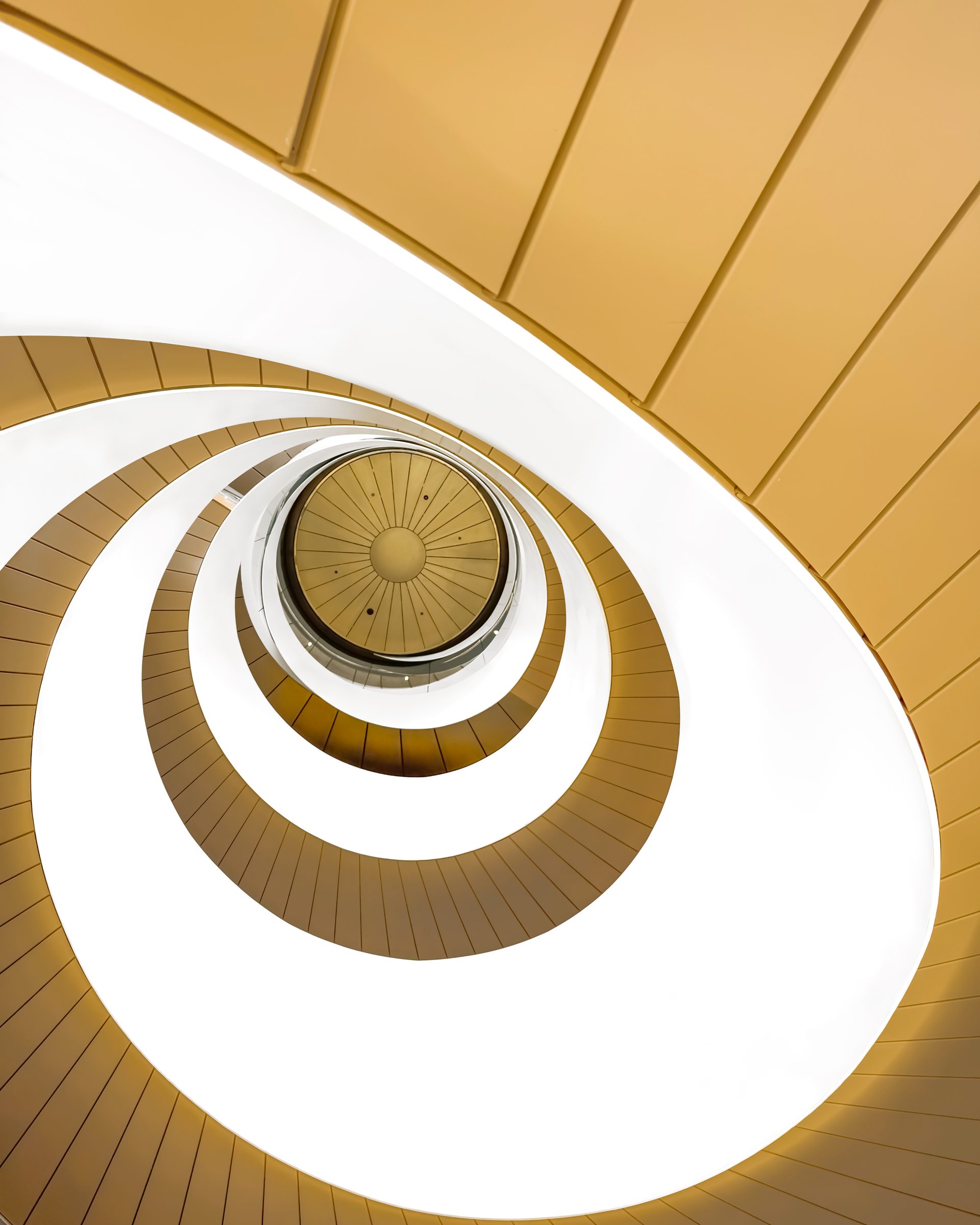 Helix I — from Between Voids by Alessio D’Addato