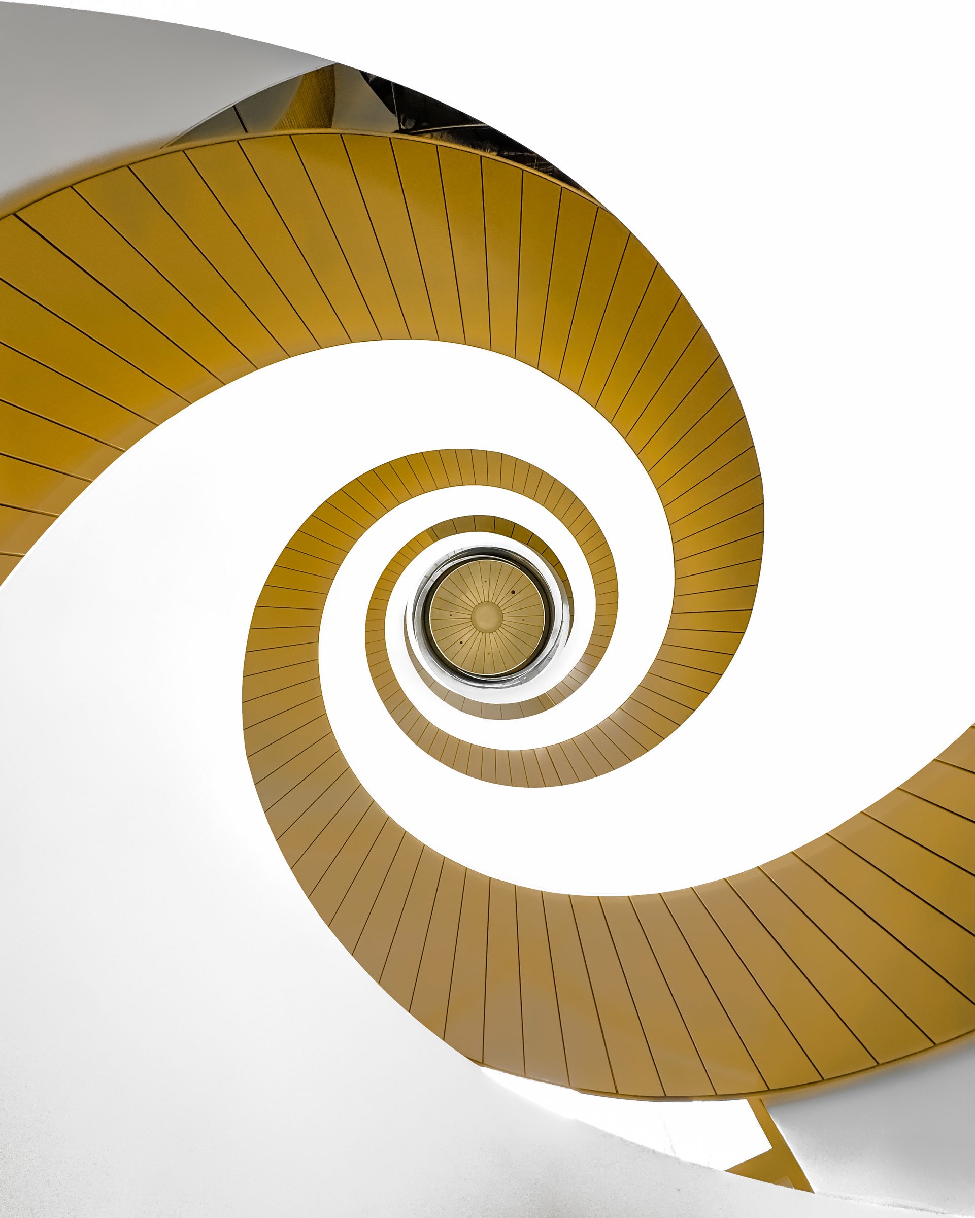 Helix III — from Between Voids by Alessio D’Addato