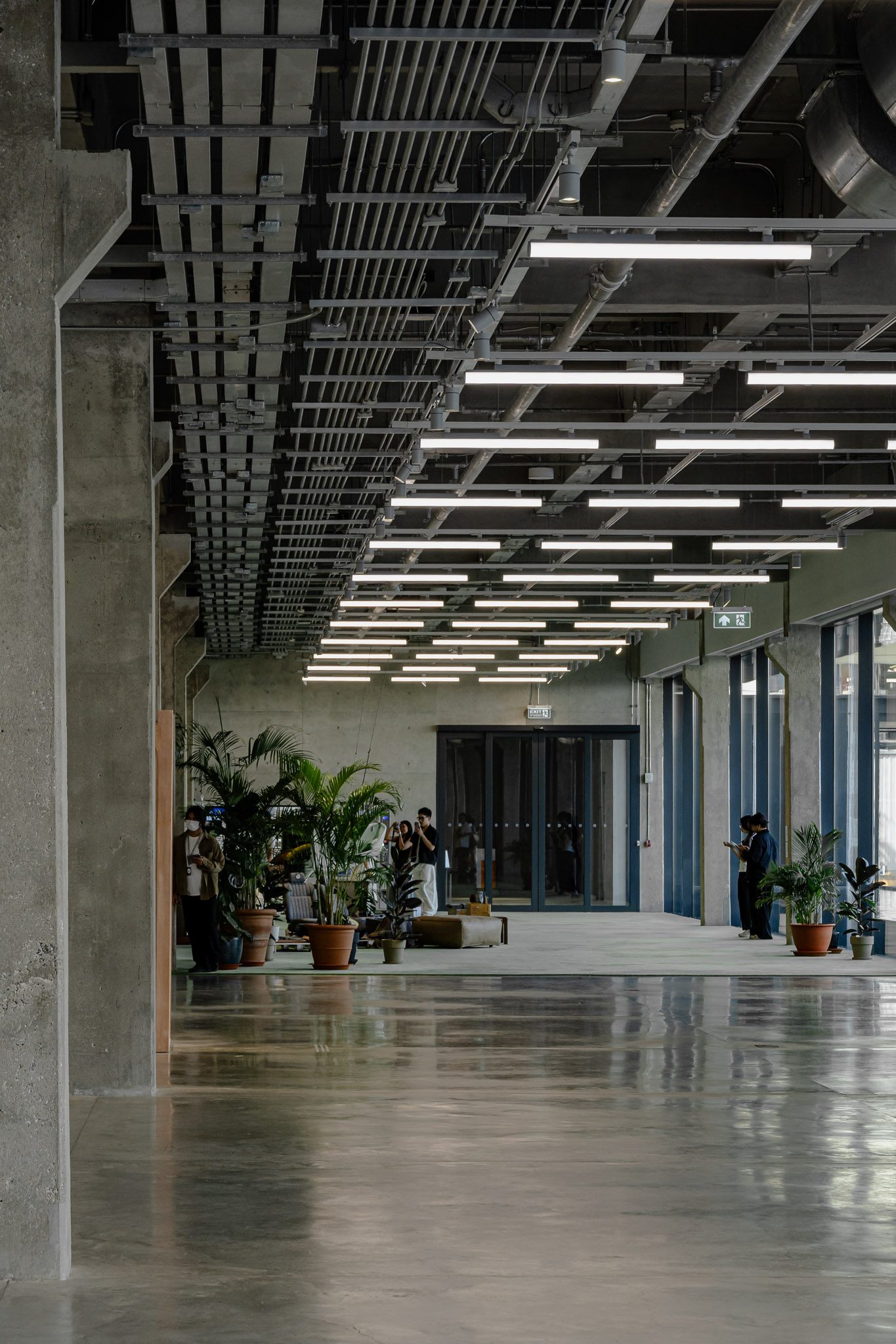Concrete corridor with planting and long ceiling lights, Dib Bangkok