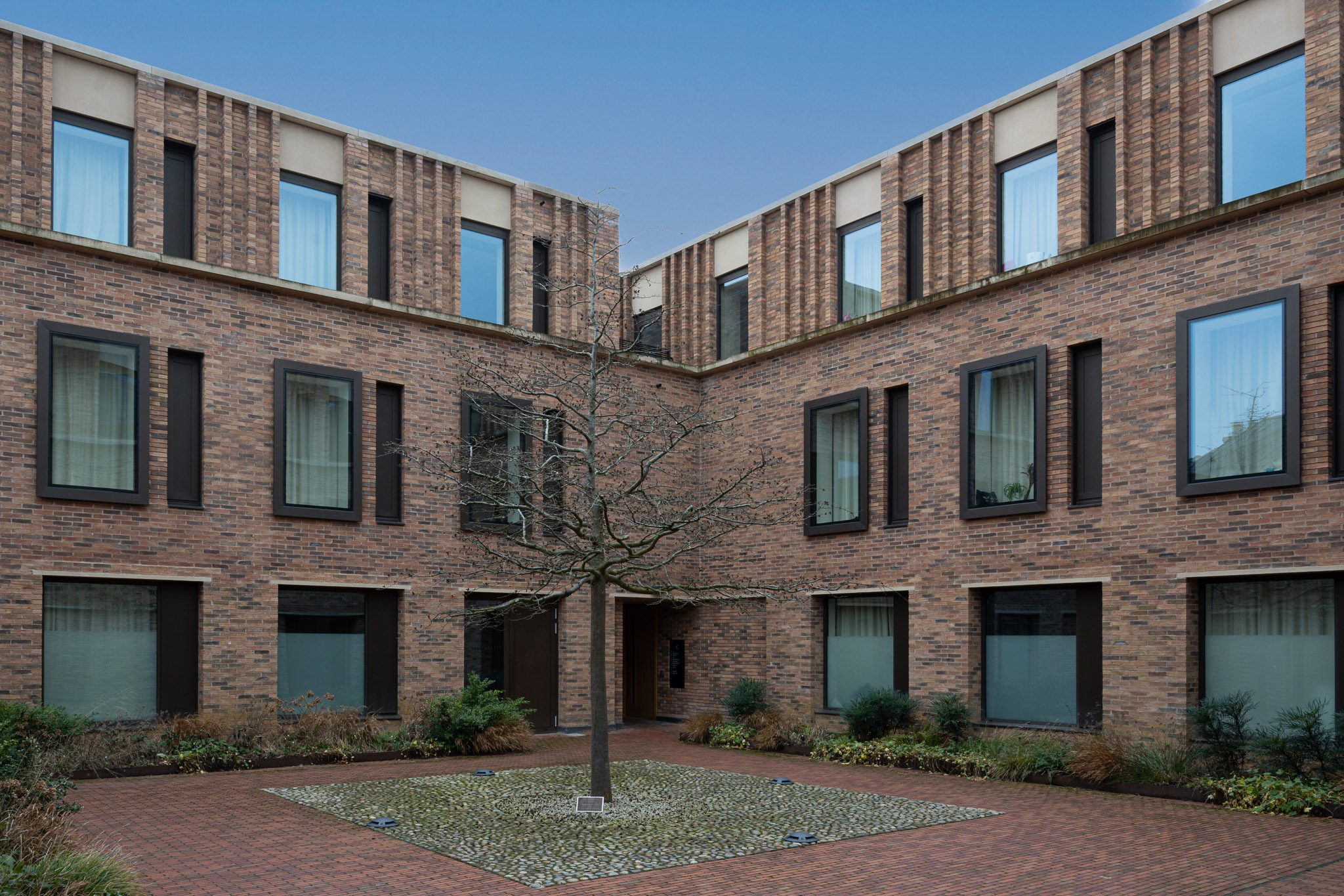 Brick courtyard with a single tree, North Court, Emmanuel College