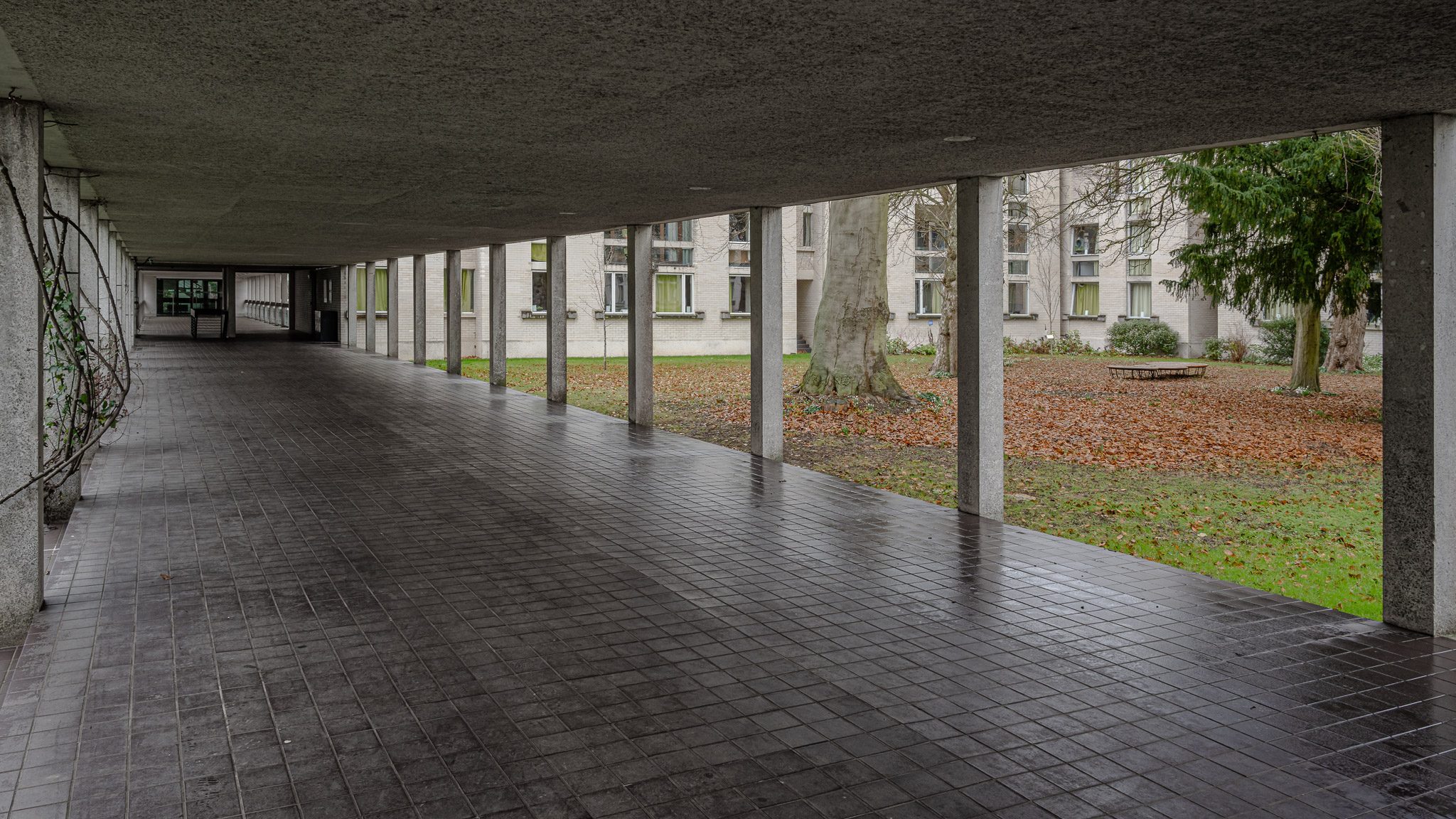 Covered colonnade beside the garden, Murray Edwards College