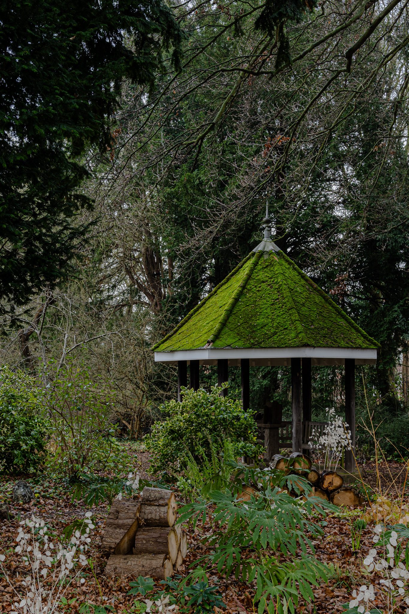 Moss-covered timber gazebo in the college garden, Murray Edwards College