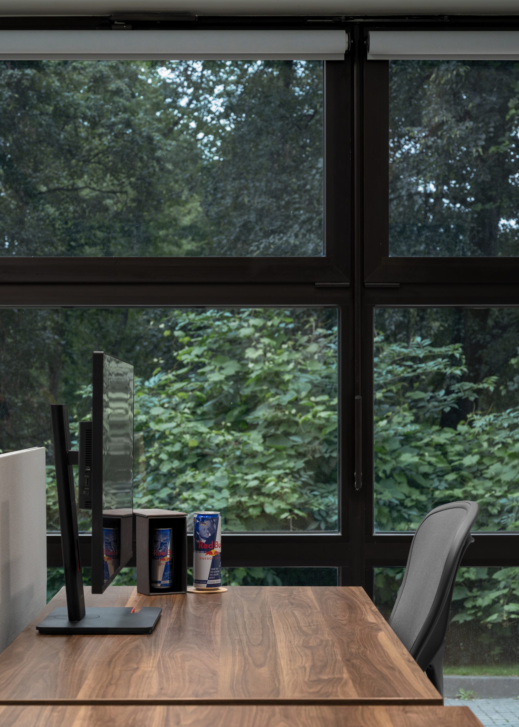 Desk detail with Red Bull cans and trees beyond the glazing